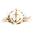 Anchored & Aura Co. logo